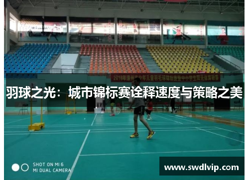 羽球之光：城市锦标赛诠释速度与策略之美