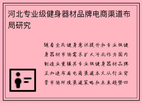 河北专业级健身器材品牌电商渠道布局研究