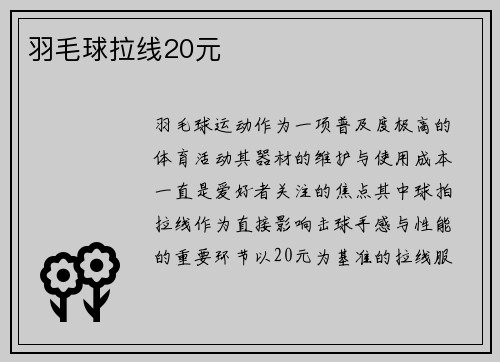 羽毛球拉线20元