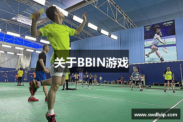 关于BBIN游戏